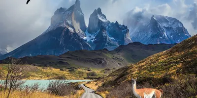 Best of Chile from Atacama to Patagonia Guided Tour