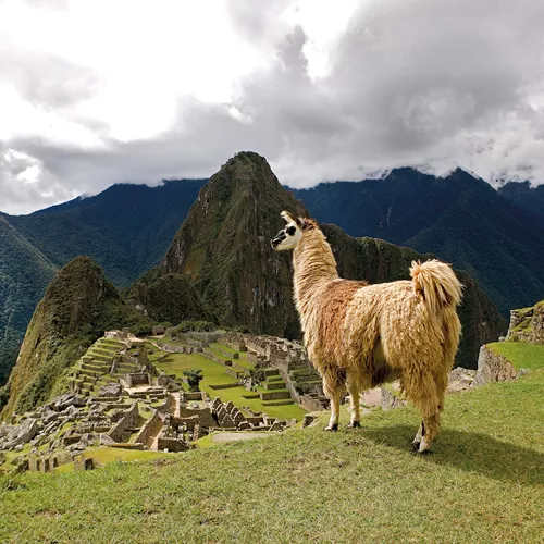 Peru with Machu Picchu and Nazca Lines Guided Tour