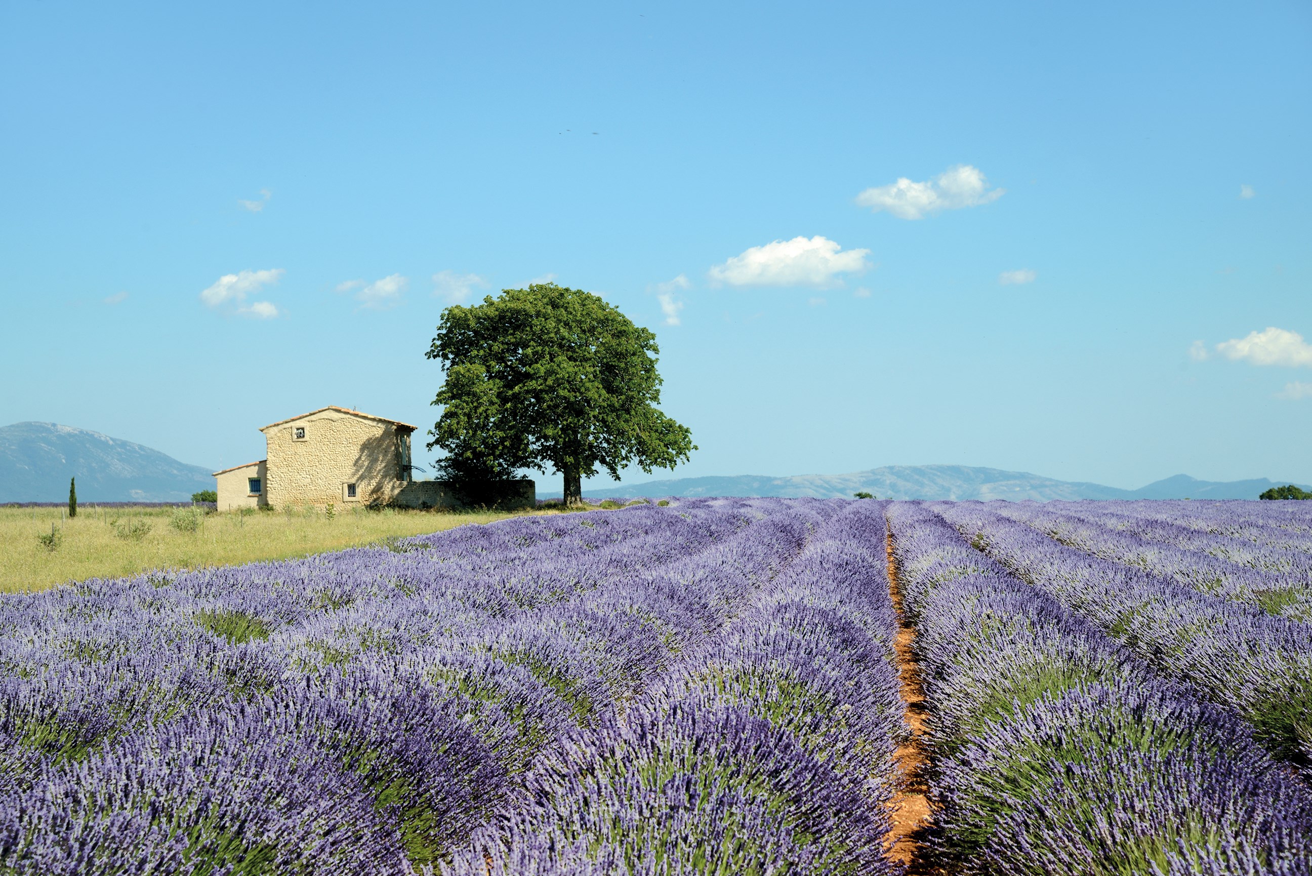 insight tour country roads of france