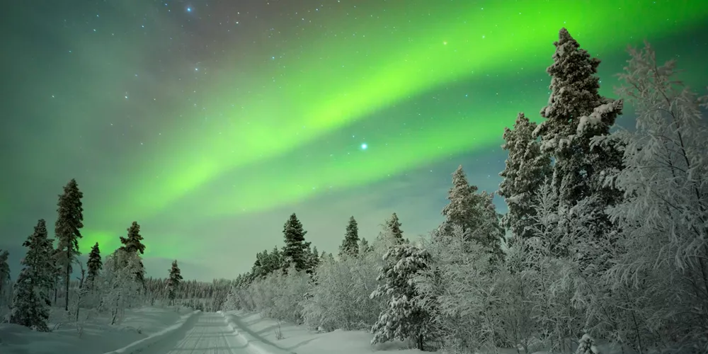Aurora Borealis Over A Track Through Winter Landscape, Finnish Lapland