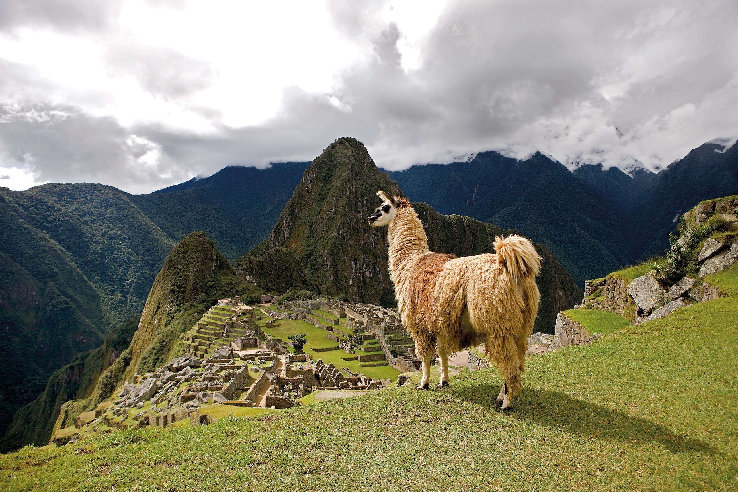 Peru with Machu Picchu Guided Tour Insight Vacations