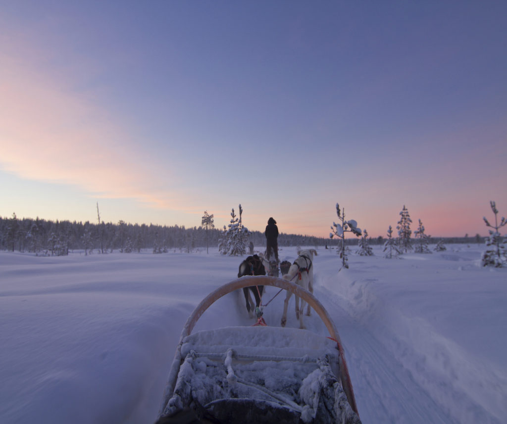 A Guide to Mushing in Alaska - Insight Vacations