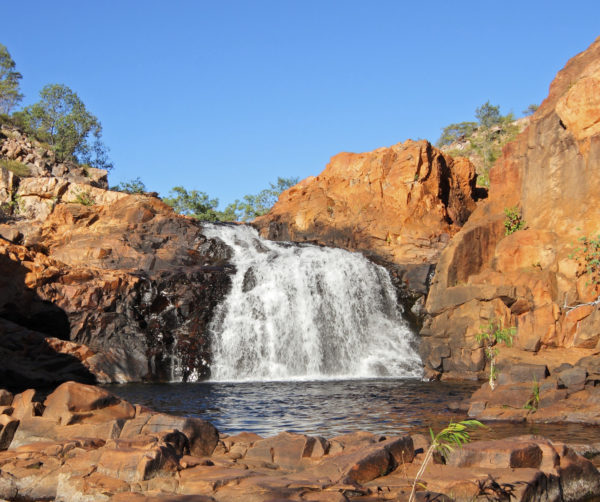 Eight Reasons Why You Need To Visit Kakadu - Insight Vacations