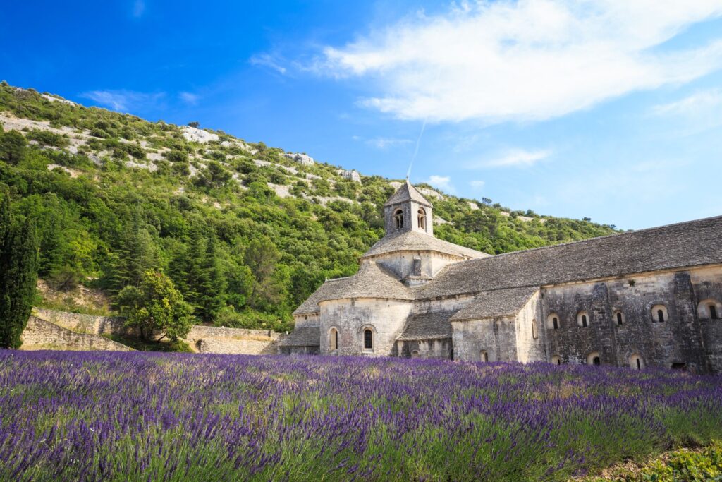 The Lavender Fields of Provence with mountains in the background