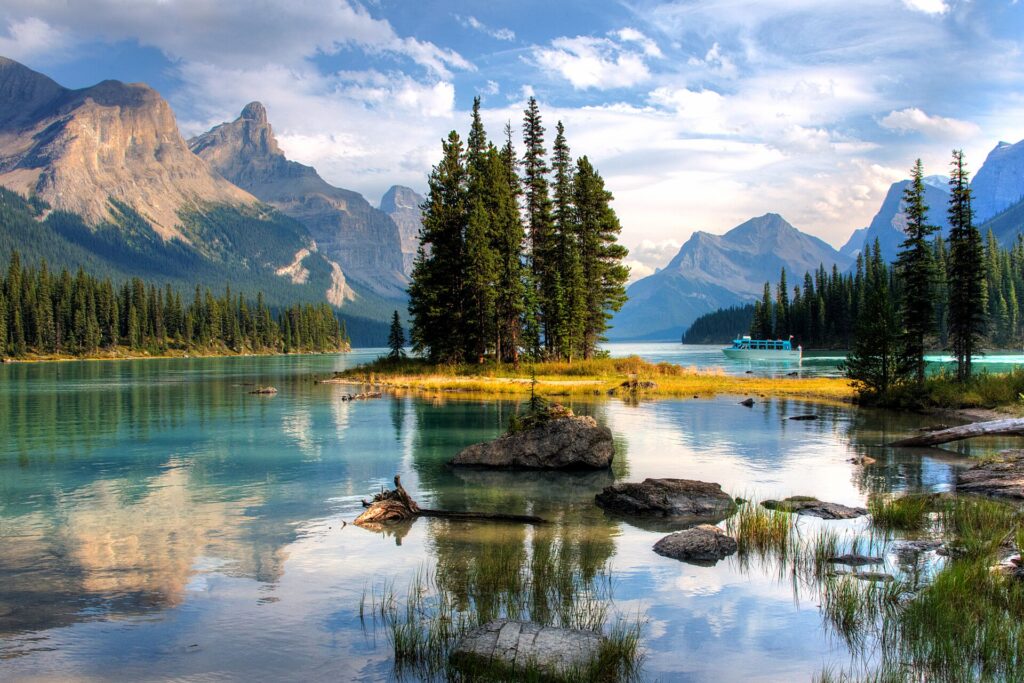 Tall trees on a small lake island in Canada.