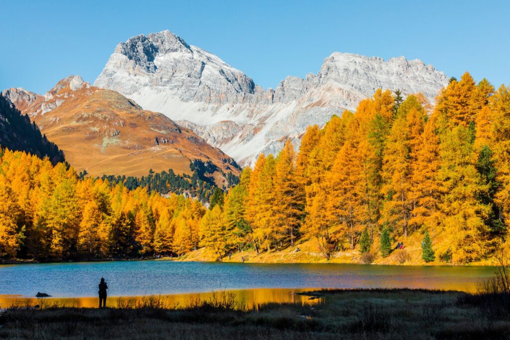 Organe trees of fall are flanked by a high mountain, with a blue lake in front in Switzerland