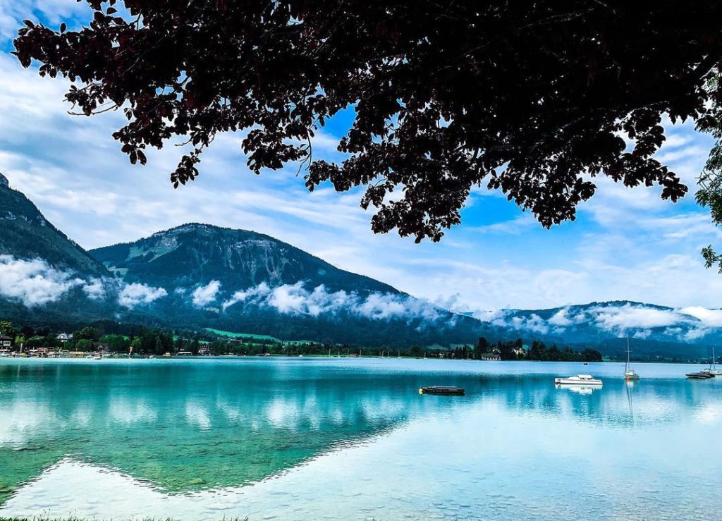 A large green lake flanked by dark mountains and a tree hanging over head.