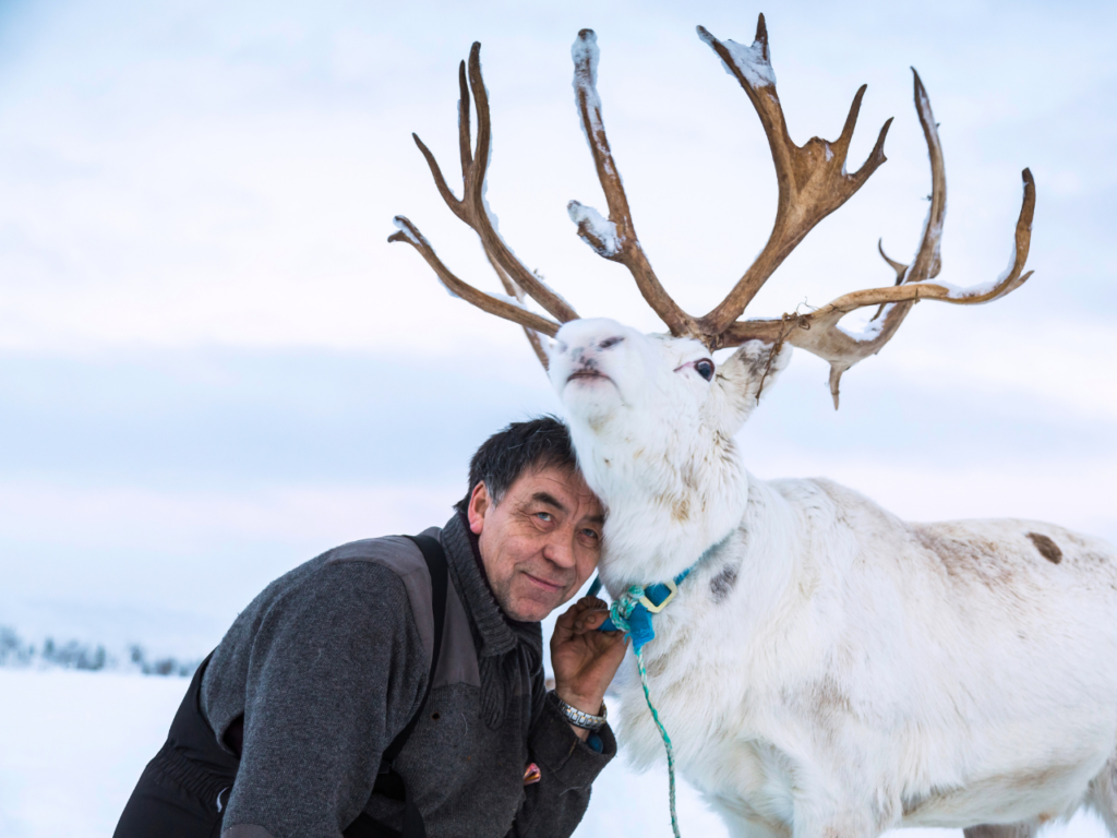 sami man with reindeer