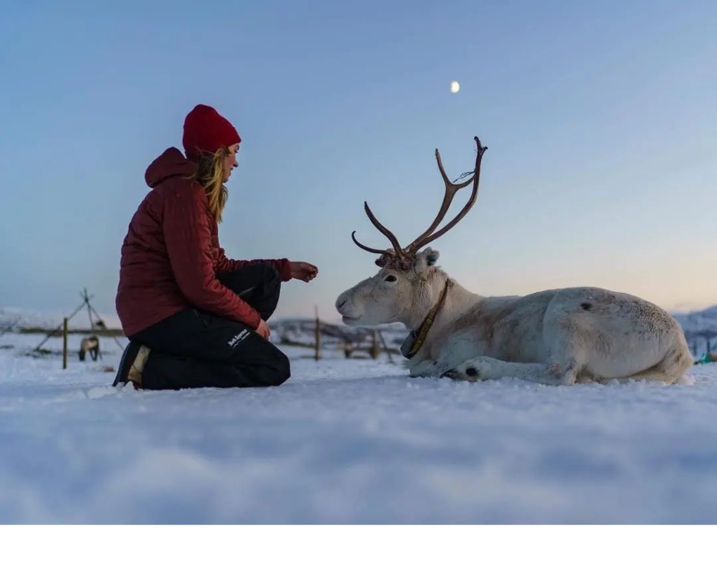 Meet The Sami The Last Indigenous People Of Europe