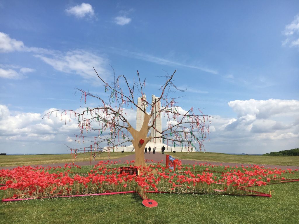 Red poppies grow around a bare tree with no leaves, on the somme battlefields in France.