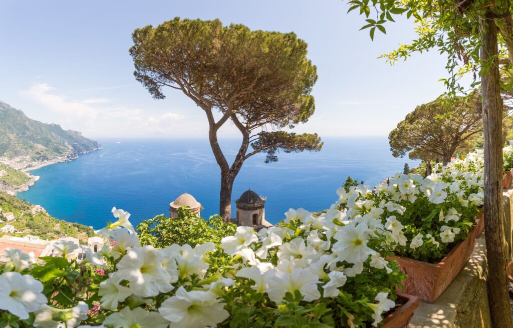 White flowers lien this shot out over the Amalfi coastline in Italy, with a bright blue sea and sunshine