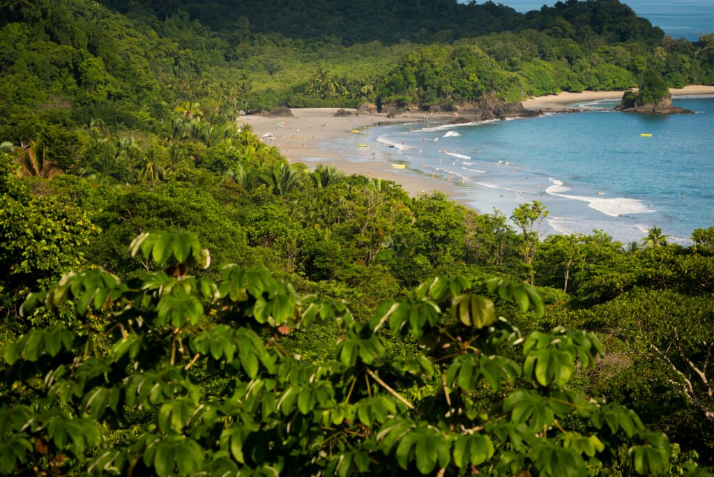 costa rica beach view from jungle
