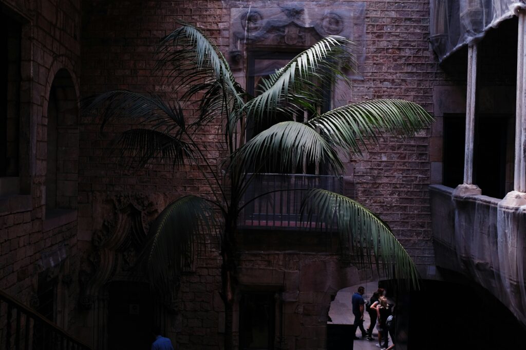 The Picasso Museum, Barcelona  