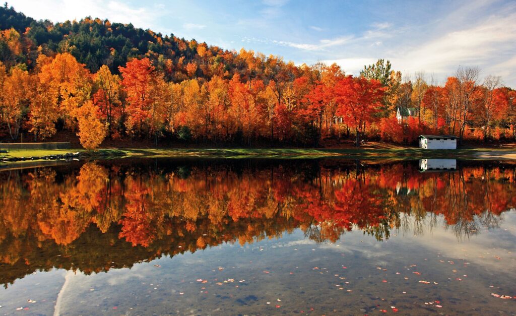 Trees and fall foliage reflected on a small pond