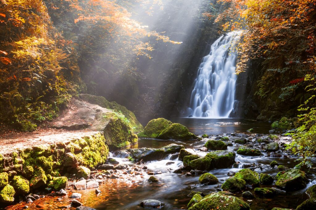 a fairytale scene of a waterfall and ponds surrounded by autumnal foliage in ireland. sun rays beam onto the wetland, scenes like this make ireland one of the best places to visit in october