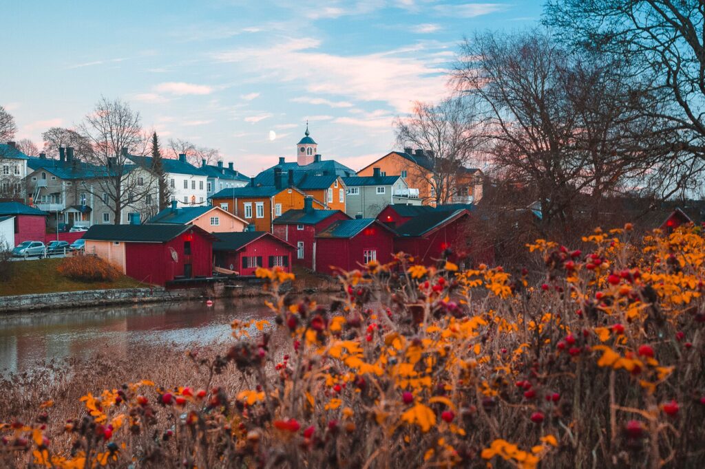 Autumn in Finland, colorful houses sit behind orange-hued plants in the foreground