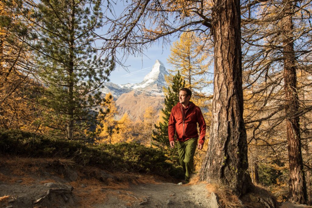 A man walking through autumnal woods with the Matterhorn visible in the background