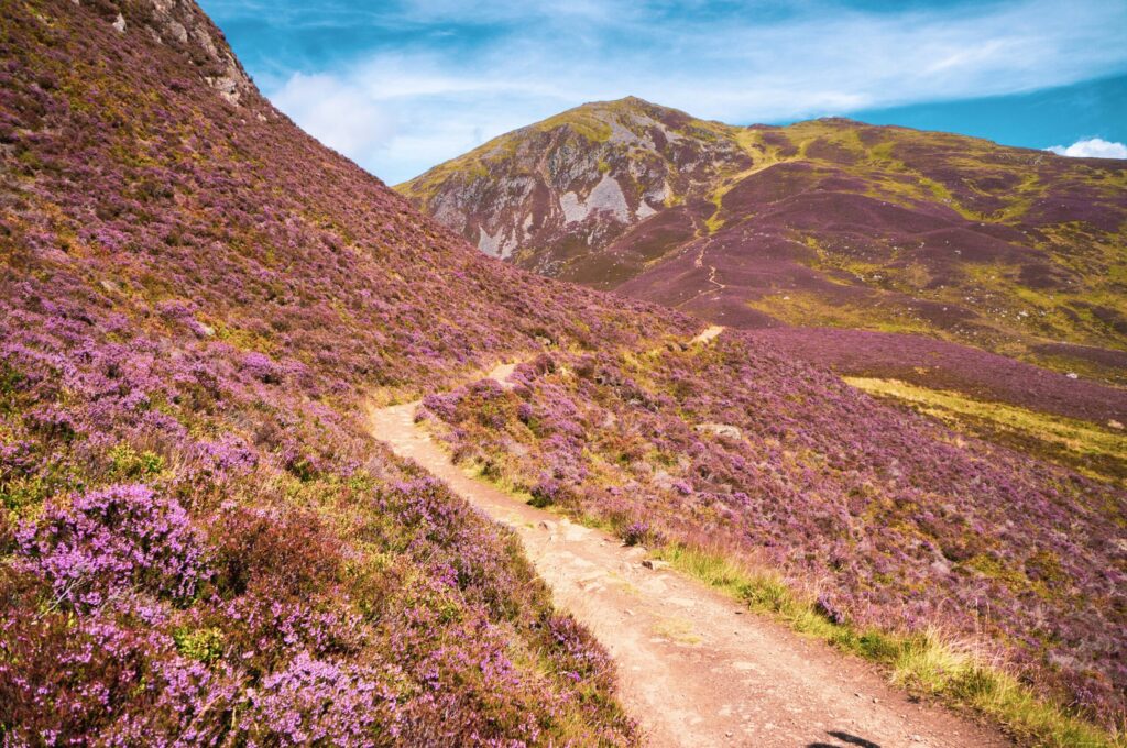 Cairngorms National Park Scotland