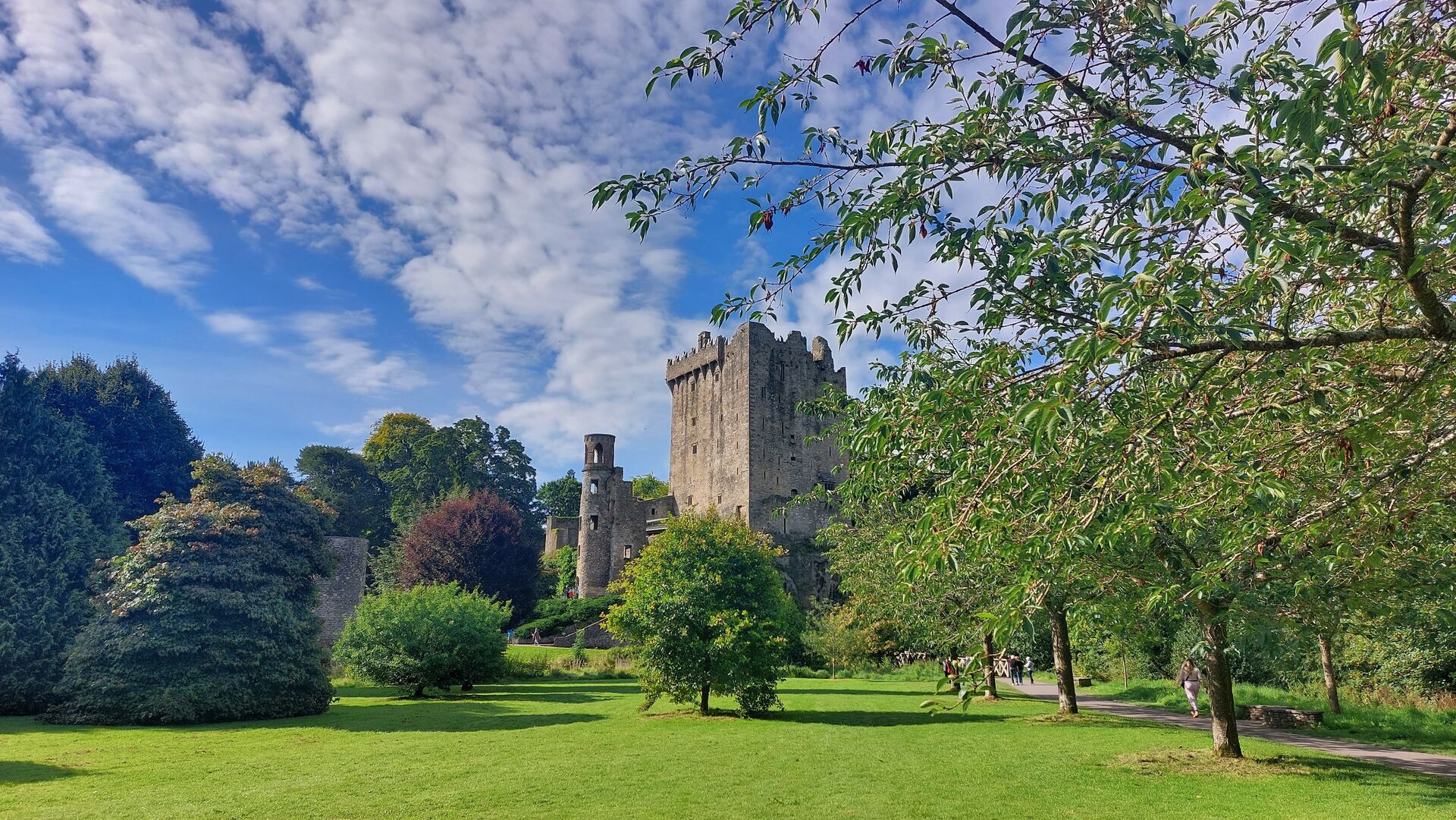 The tower of Blarney Castle in Ireland is shown with green lawns and trees in front and bright blue sky with white clouds.