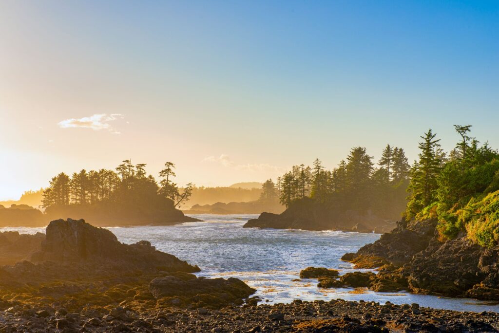 Shoreline at wild pacific trail in Vancouver Island