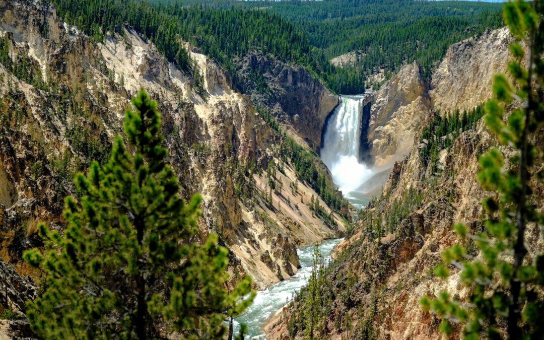 Why June is the Best Time to Visit Yellowstone National Park