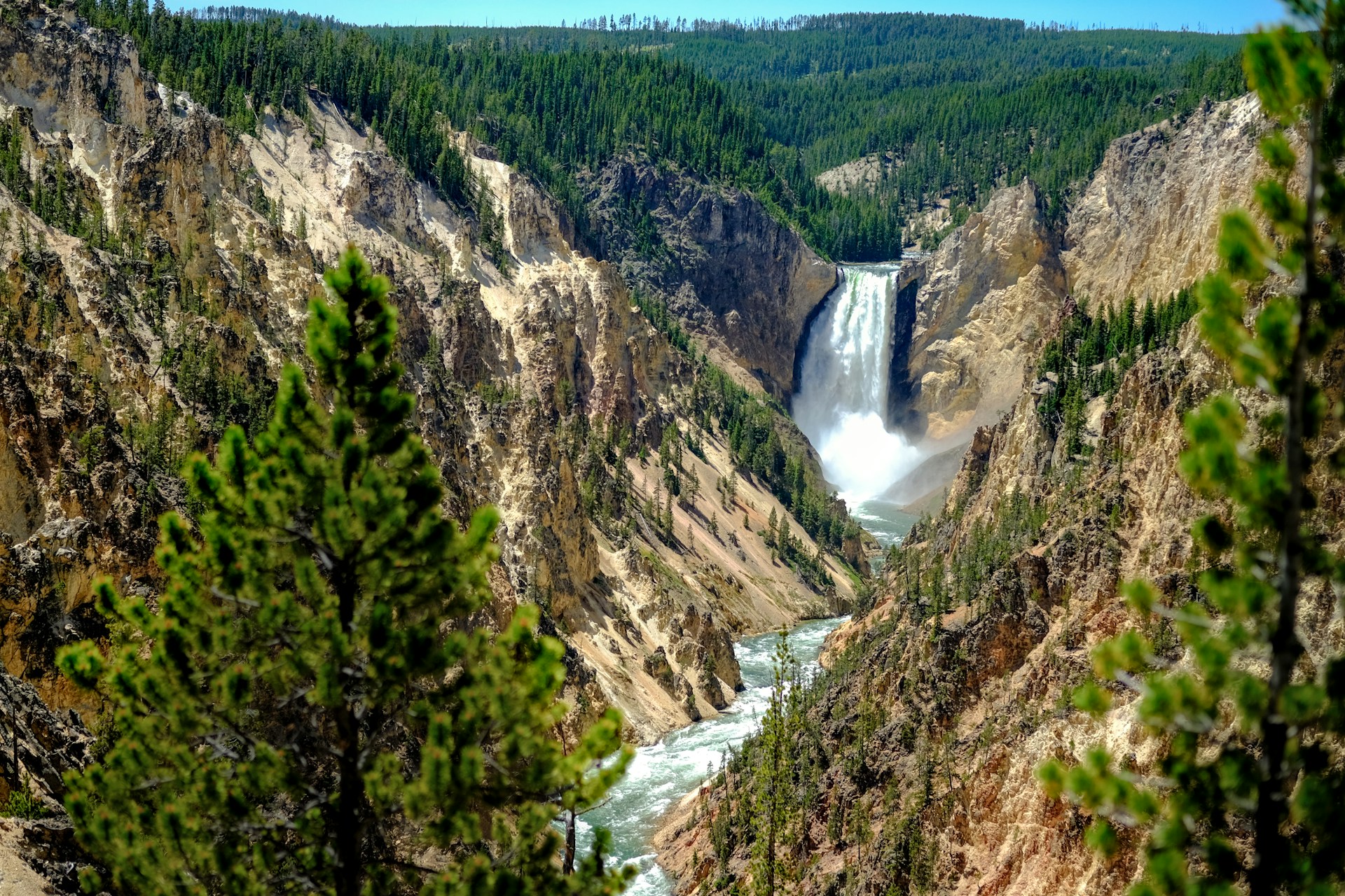 Why June is the Best Time to Visit Yellowstone National Park