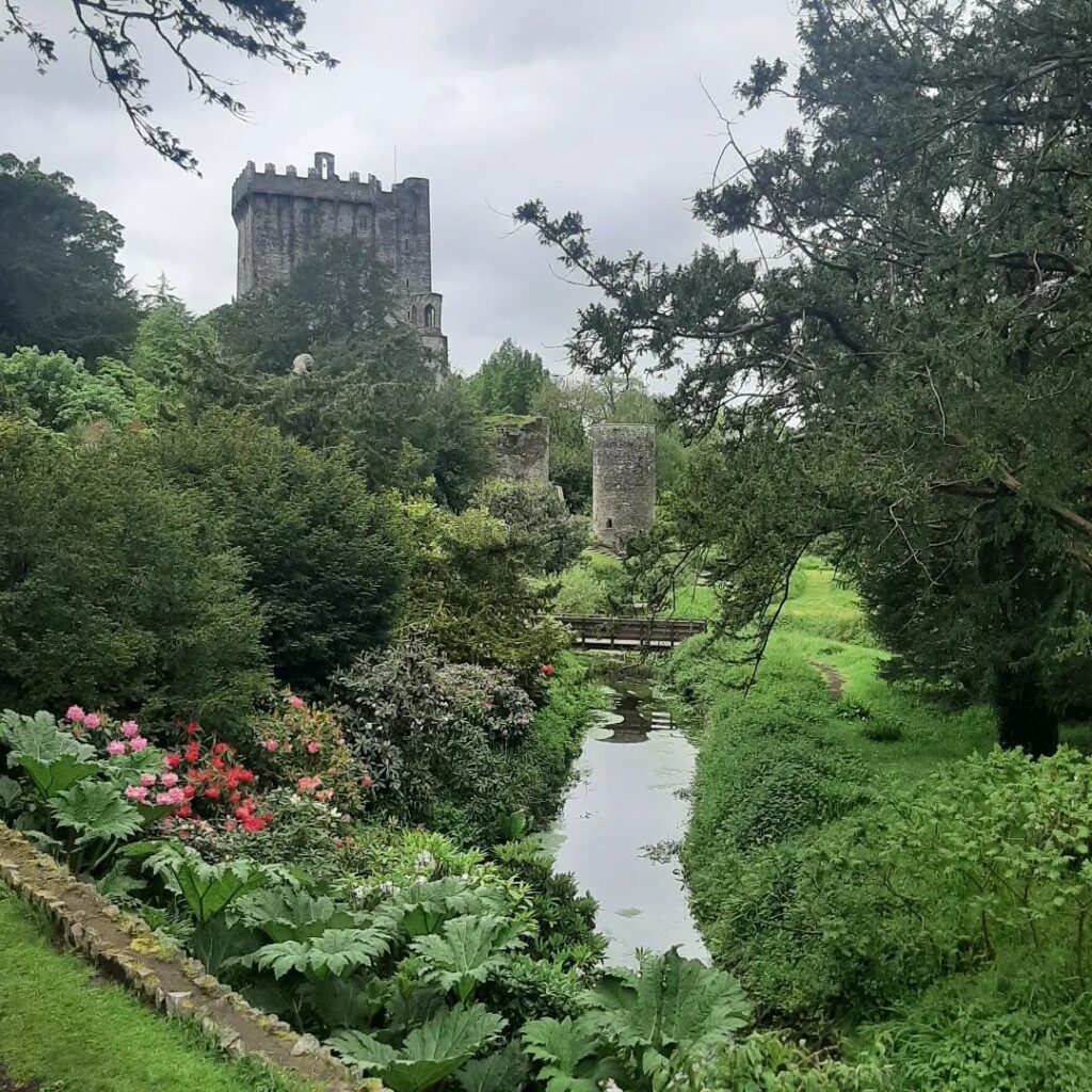 Luch green gardens with pink and red flowers with a stream reflecting the light, with Blarney Castle in the background and a grey blue sky.