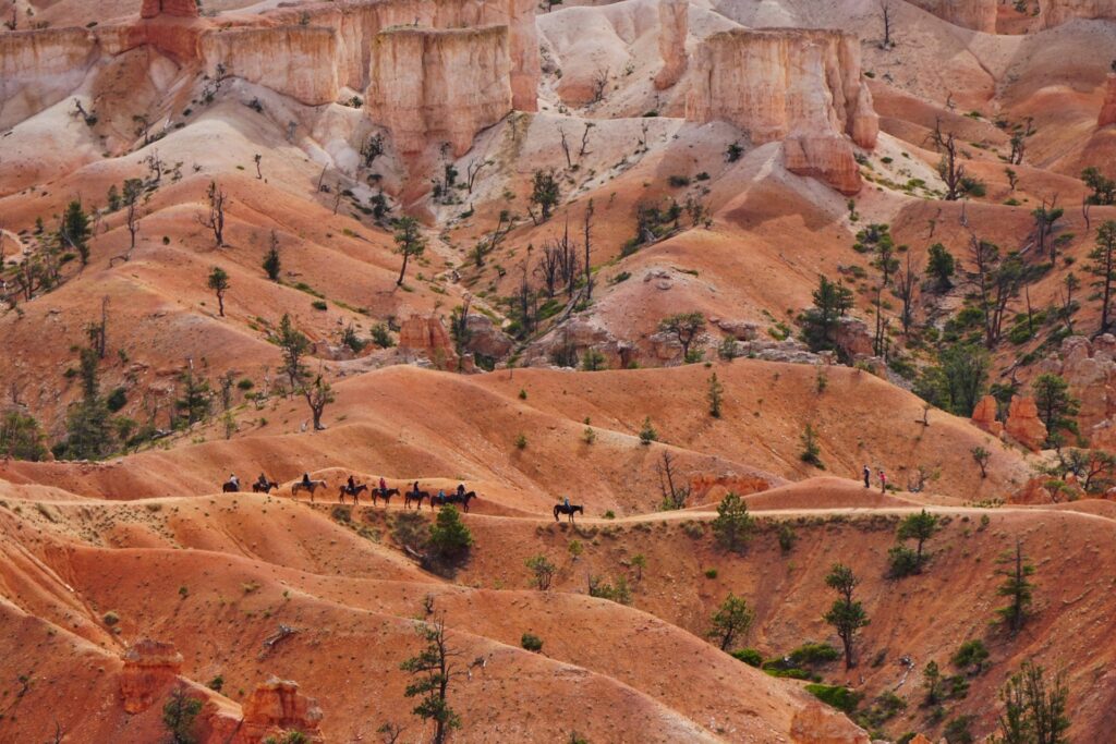 Horses walking through the red rock landscape of Bryce Canyon National Park