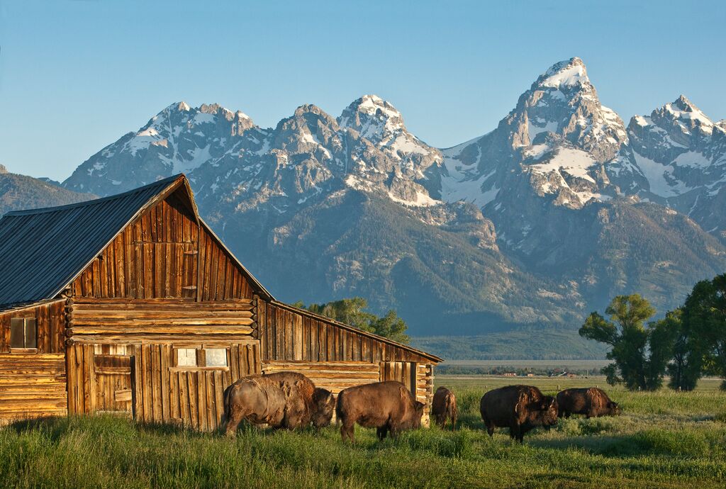 Teton National Park