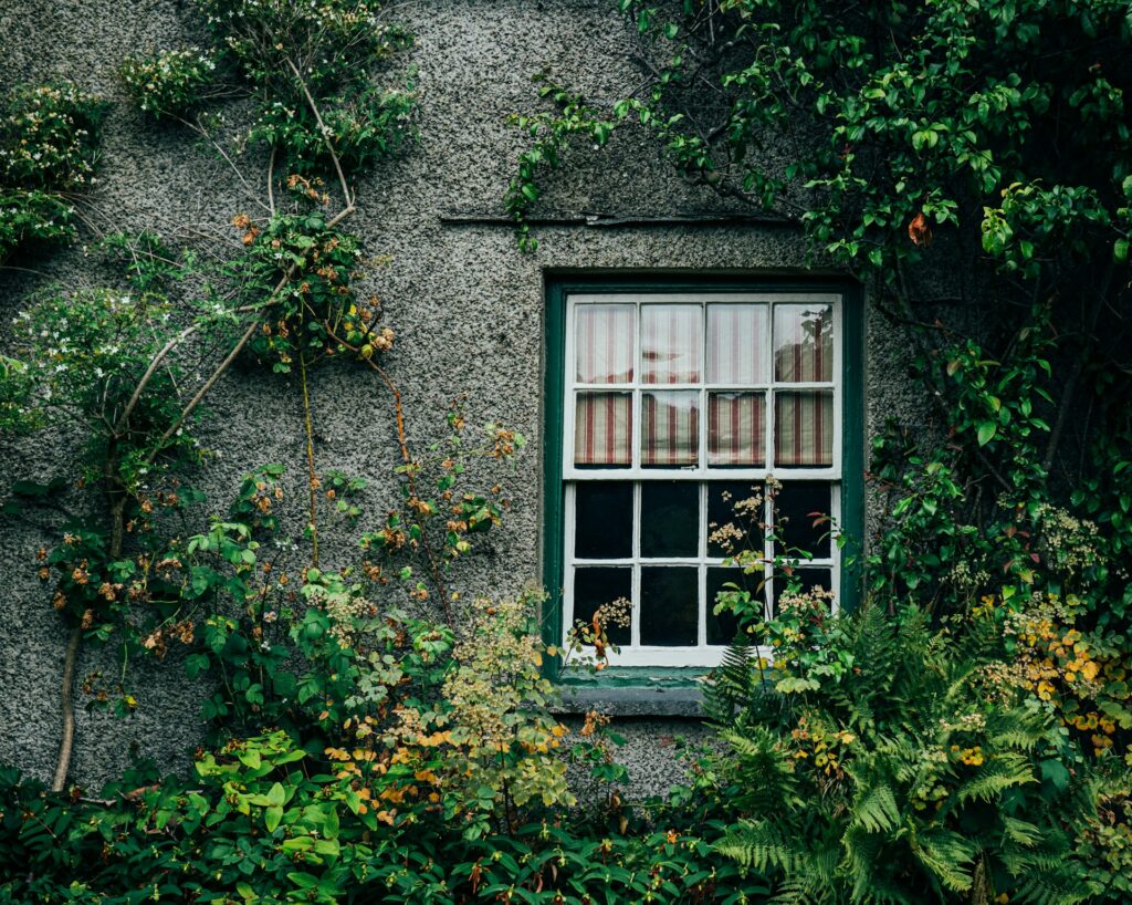 A cottage window, surrounded by greenery