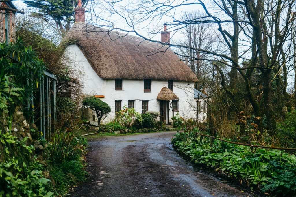 Thatched cottage surrounded by woodlands