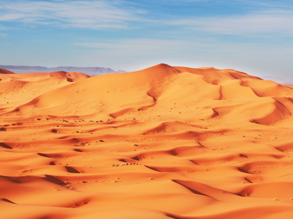 sahara desert in morocco. a small line of camels traverse the dunes