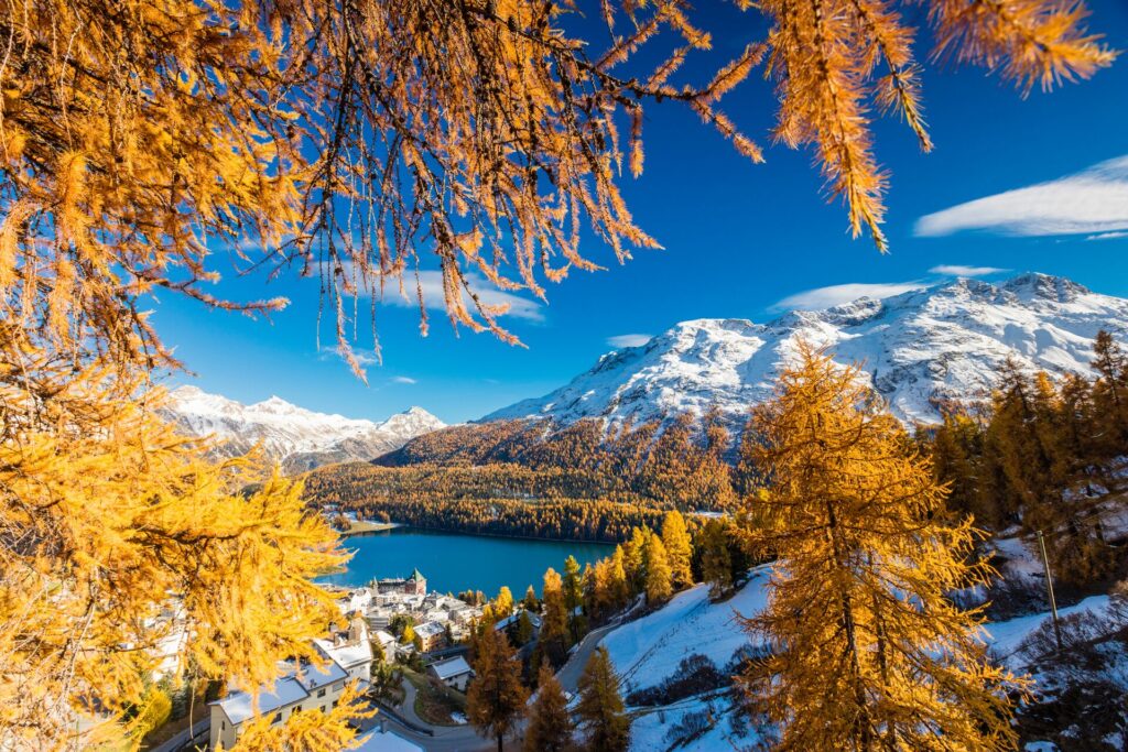 Aerial winter shot of the town of St Motitz in the snow, with red trees in the foreground.