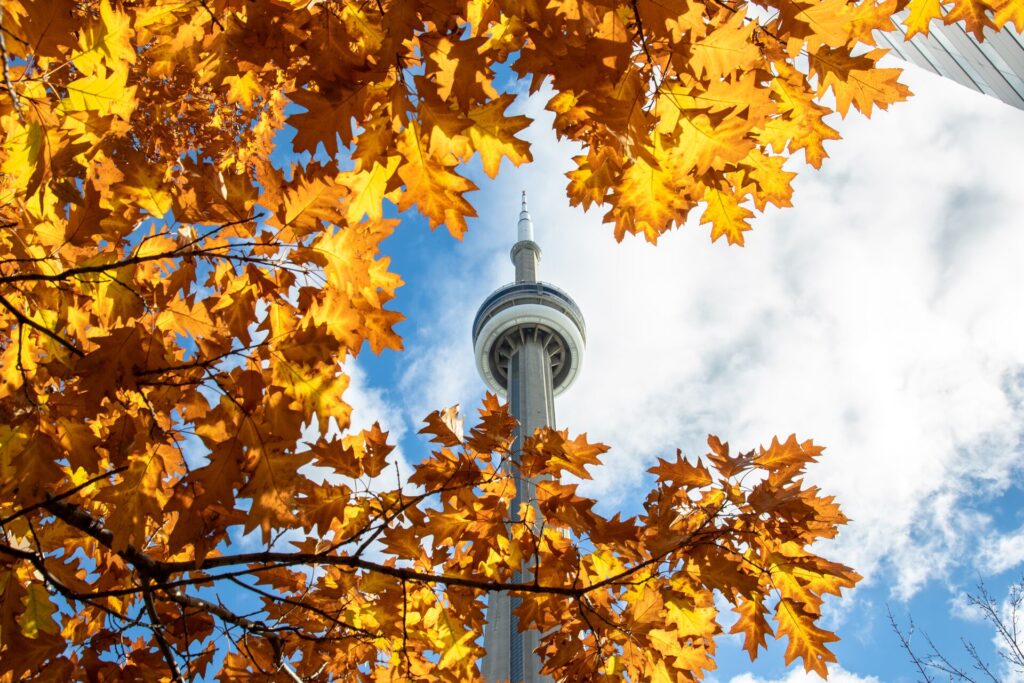 A tall tower is shown from below, framed by red and gold leaves.