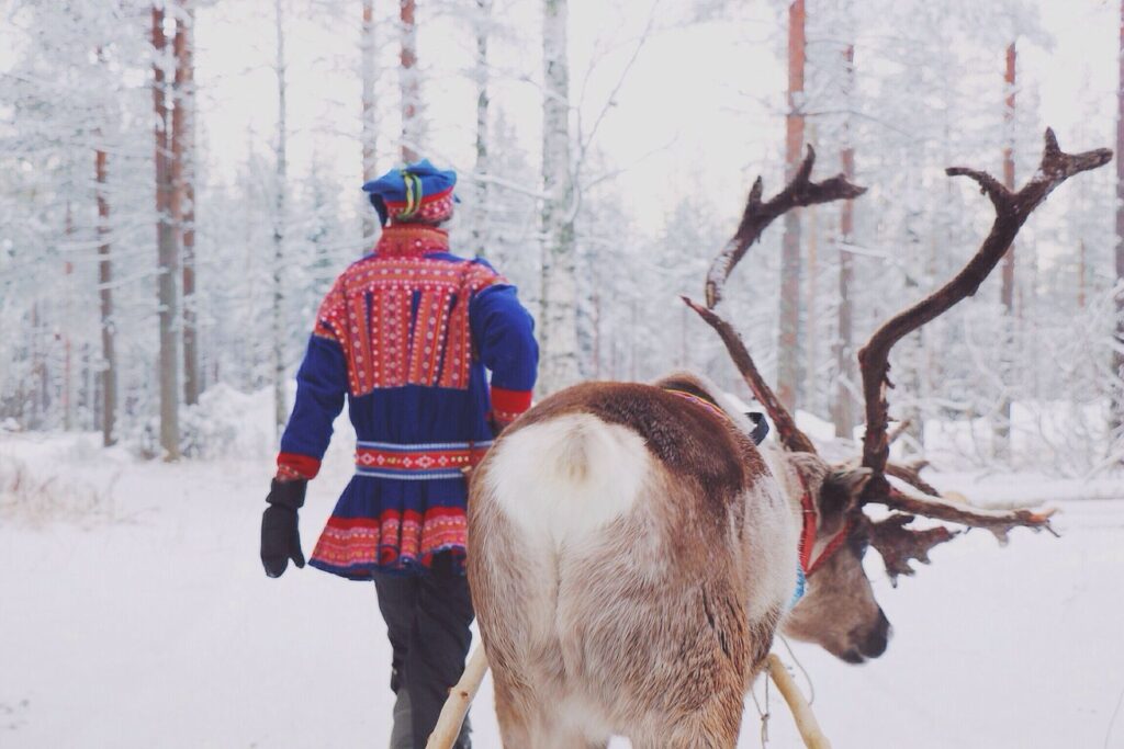 A man in traditional Sami clothing of red and blue leads a reindeer along the snow.