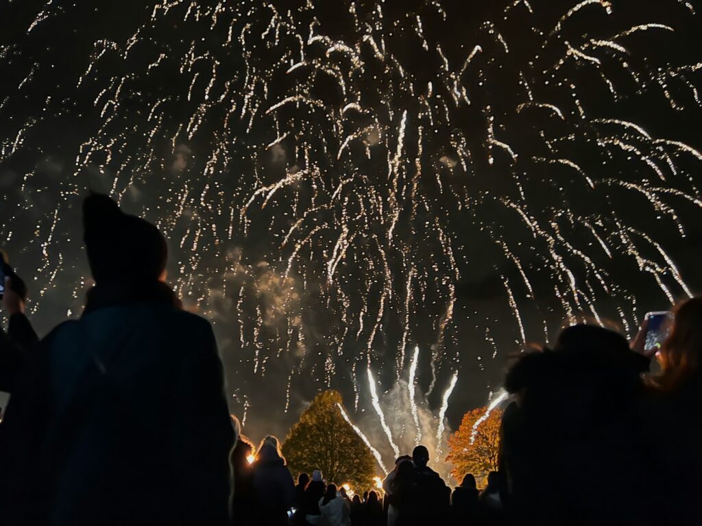 silhouettes of spectators at fireworks display