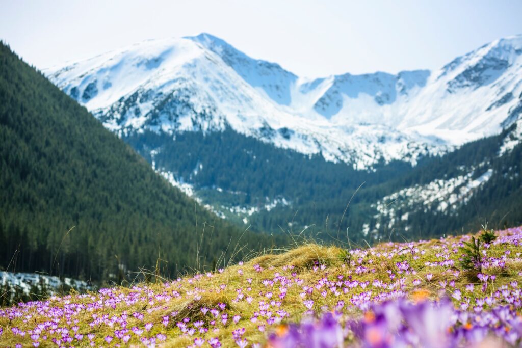 Tatra mountain view in Poland