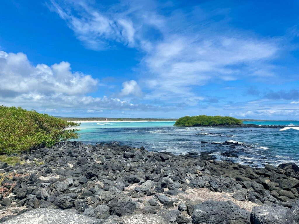 Stony beach on the Galapagos Islands