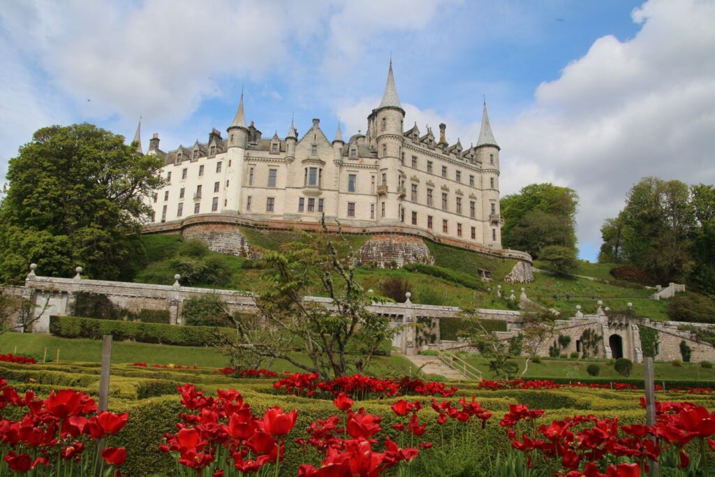 Dunrobin castle in scotland foregrounded by red flowers