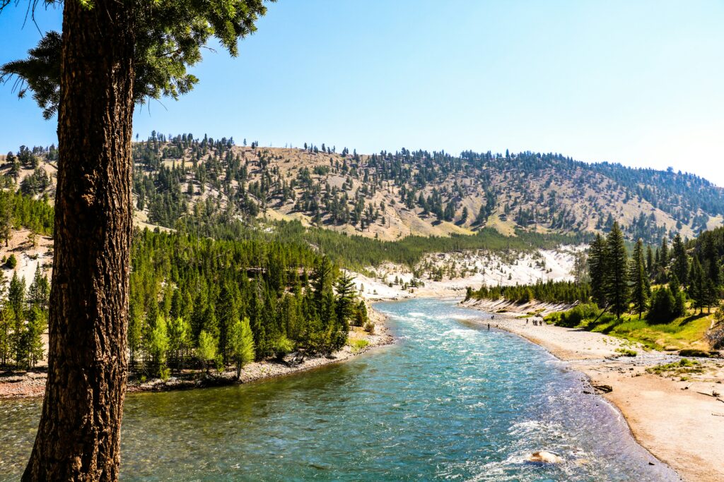 Yellowstone National Park river