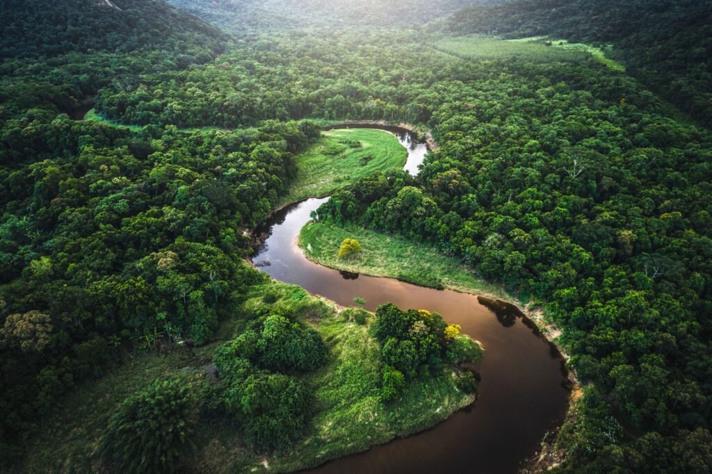 amazon rainforest mata atlantica through brazil