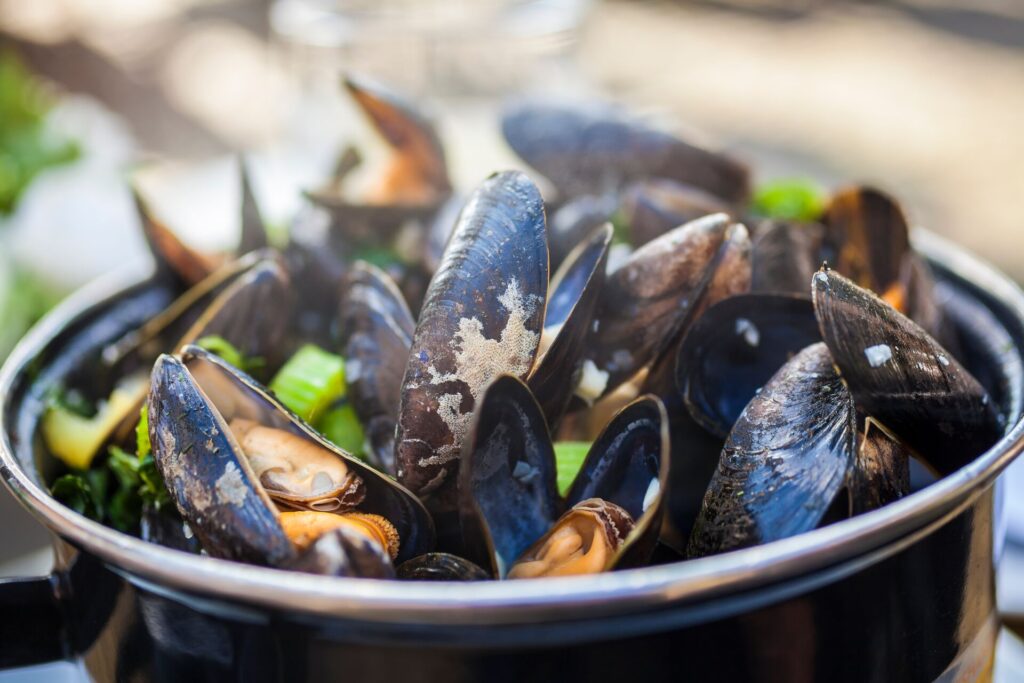 A bowl of cooked mussels